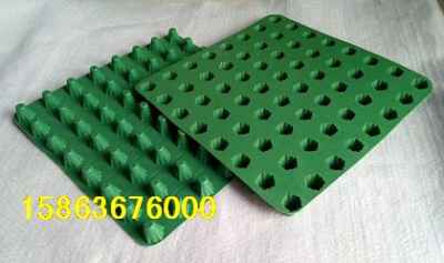 湖北十堰樓頂綠化塑料排水板市場迎來新機遇，建筑建材行業(yè)綠色轉(zhuǎn)型提速